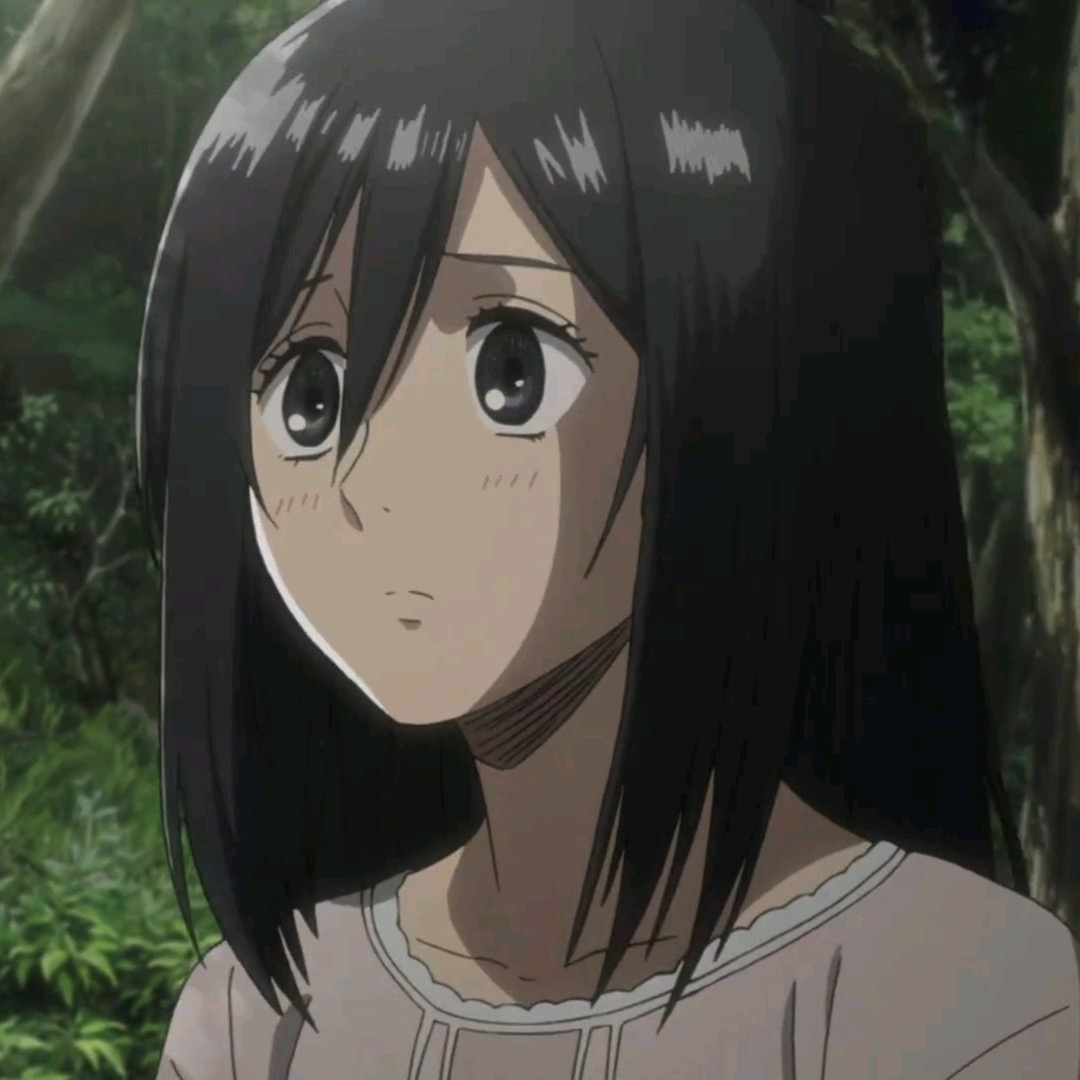 森林里的三笠